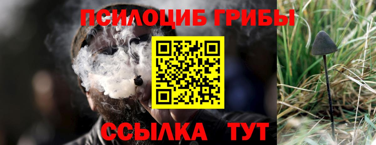 купить   Вход с VPN  Михайловка  Псилоцибиновые грибы GOLDEN TEACHER 