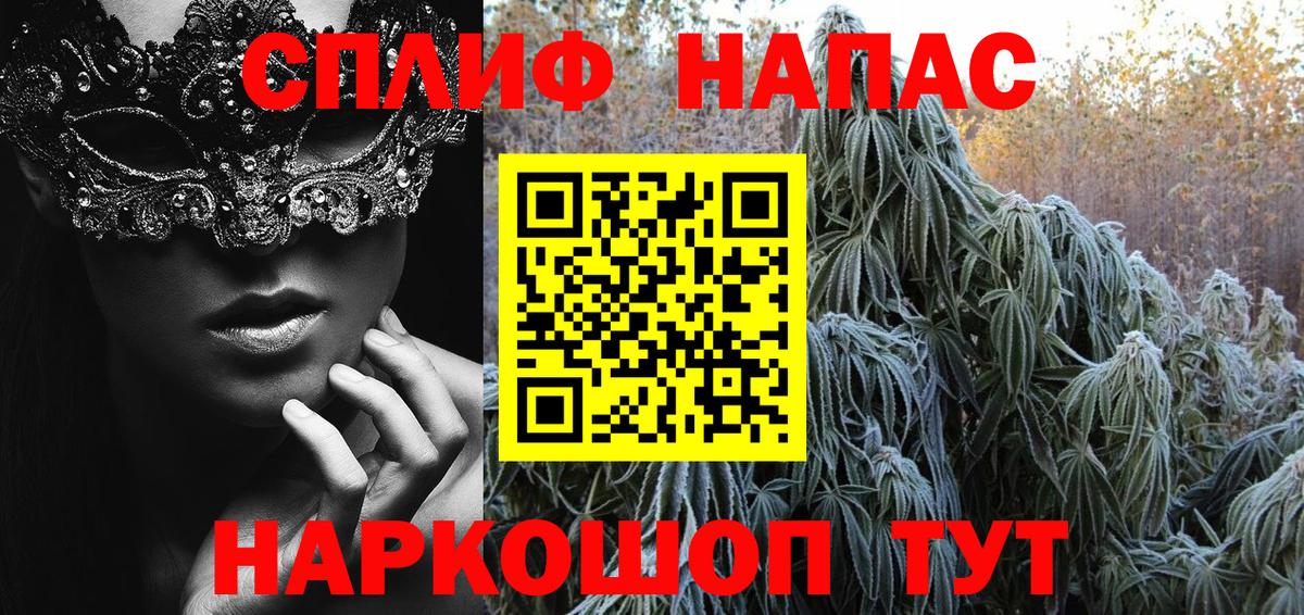 Шишки марихуана планчик Михайловка